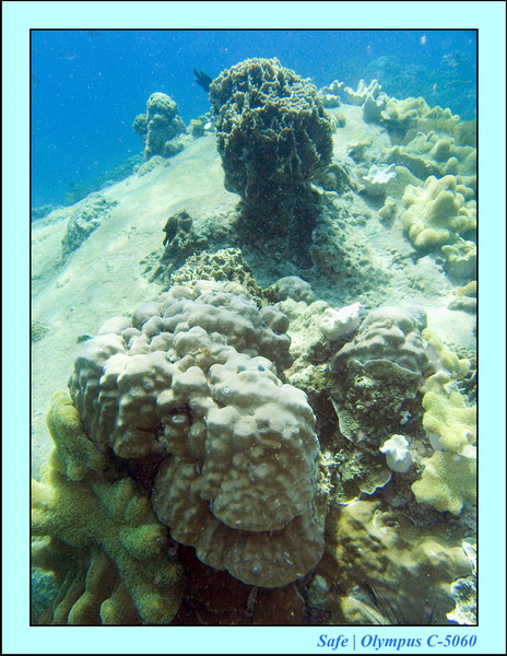 2008 - 07 - Leng Tengah - 078